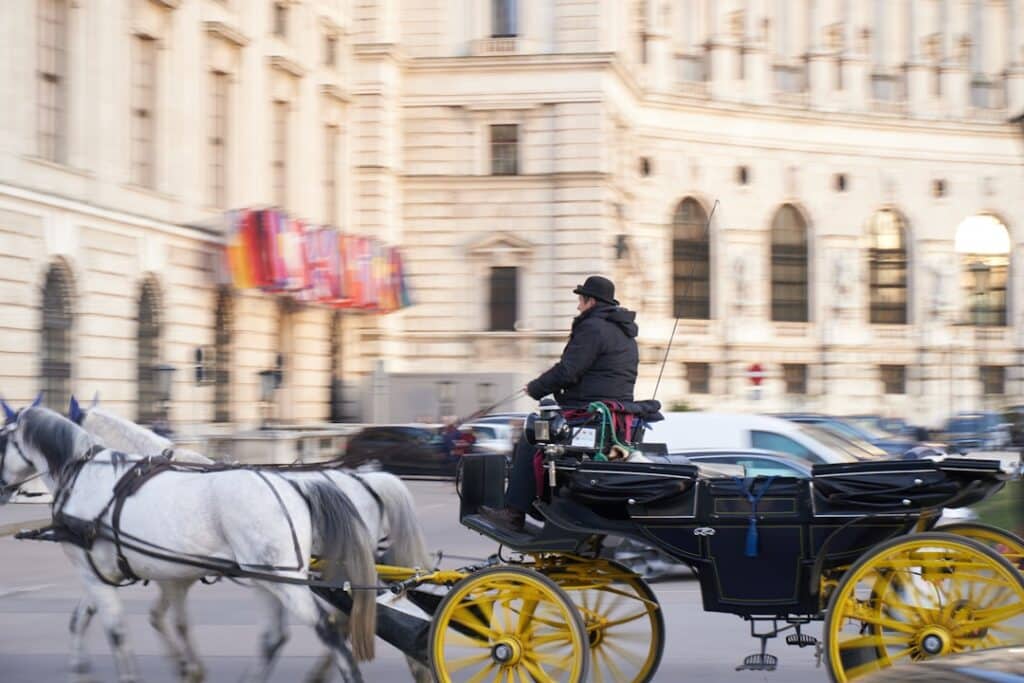 Photo Horse-drawn carriage