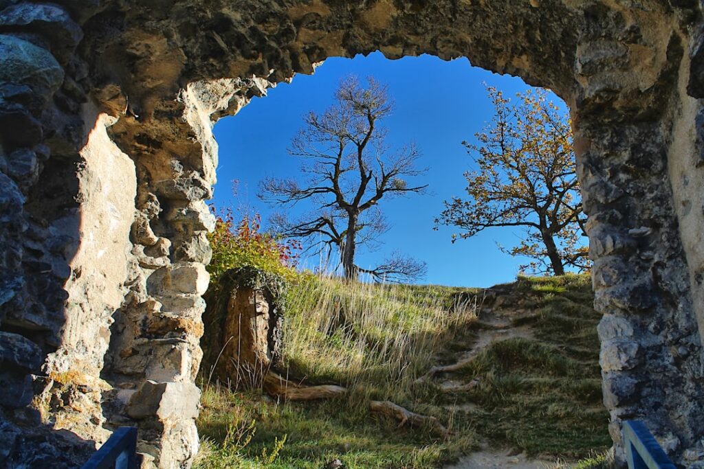 Photo Castle Ruins