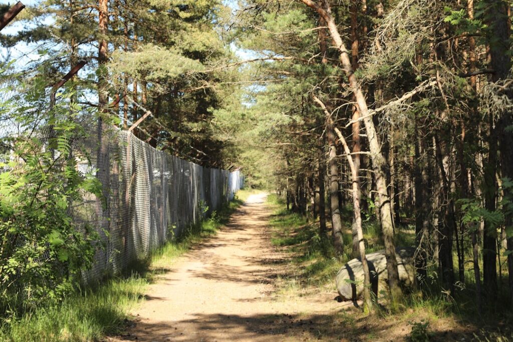 Photo Border town